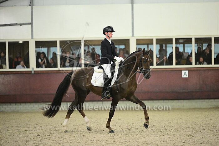 Jesper van Heijst - Solutions KSH