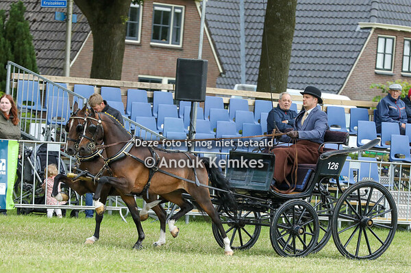 Hackney tweespan Kampioenschap