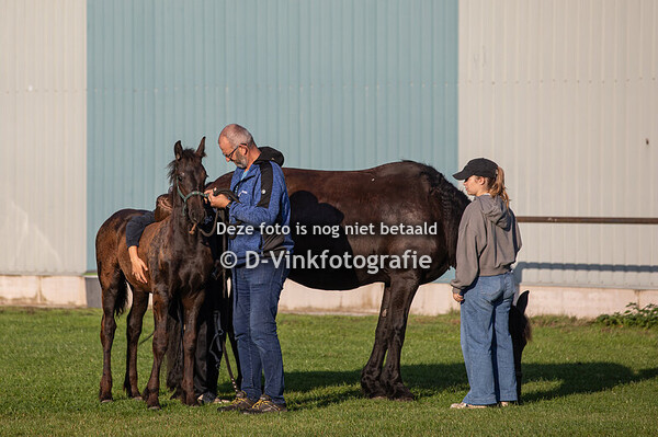 03. Casanova Van 't Hoogste