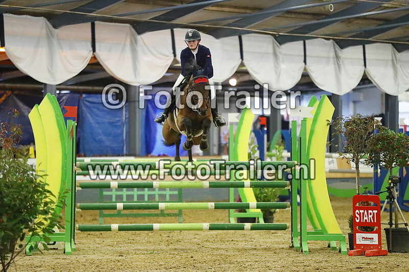 celeste van der poel