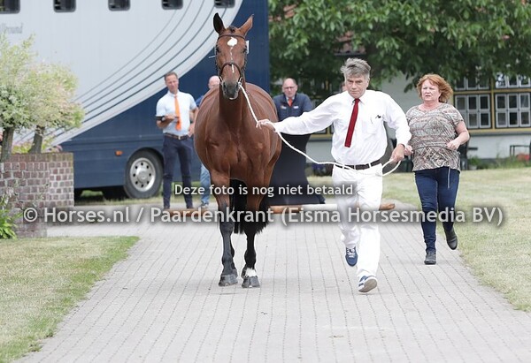 23-06-2021 Stamboekkeuring KWPN Haaksbergen