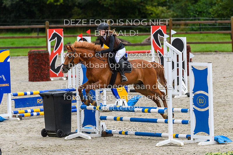 1 Ponys Klasse 70-80cm