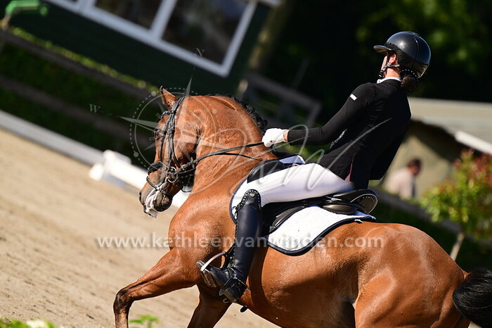 Evelien Copier - Starwin's Floris