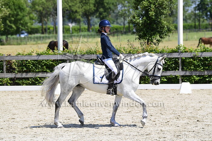 Lise Wieman - Newgrange Snowdrop