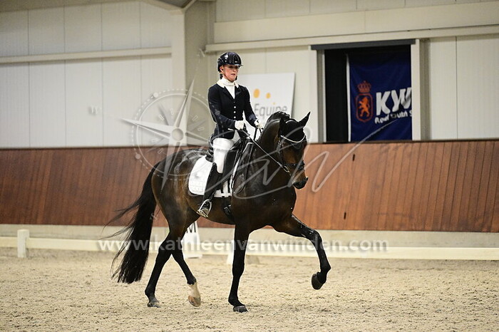 Kim Noordijk - Roebel