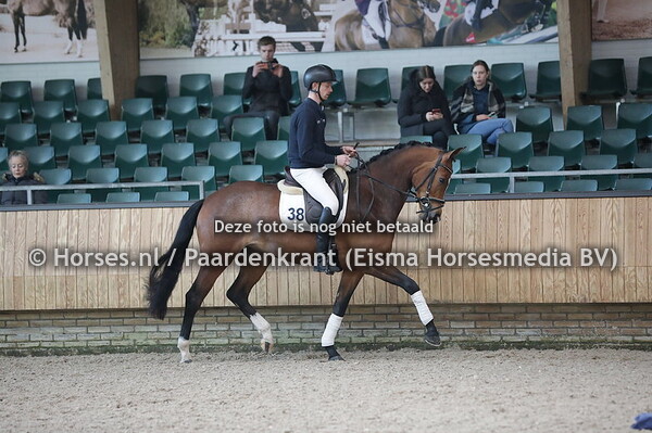 38 Ook Amazing (Jerveaux x Europa v. Andretti)