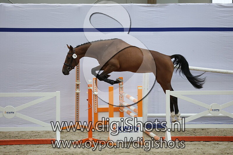 Simply Sifra v. Grandorado TN