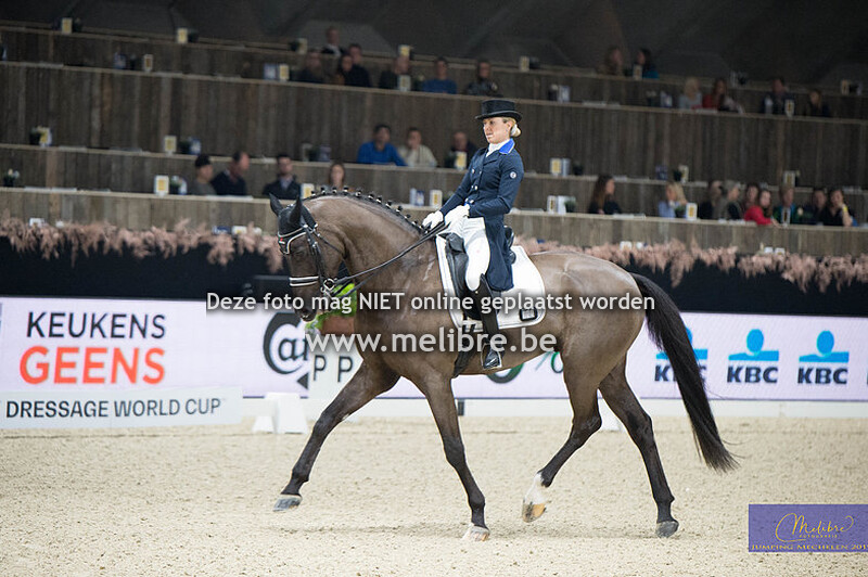 CDIW Intermediaire - Freestyle 