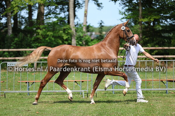 48 Robijn D van de Keizershoeve