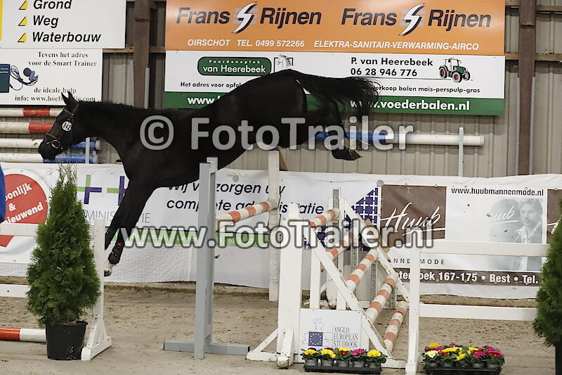 942 - Pride van de Werf