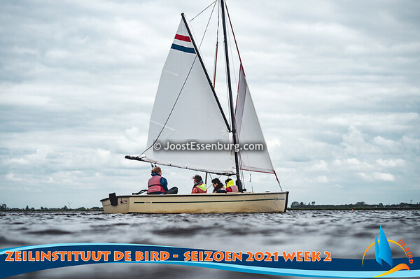 De Bird - Week 2, 2021