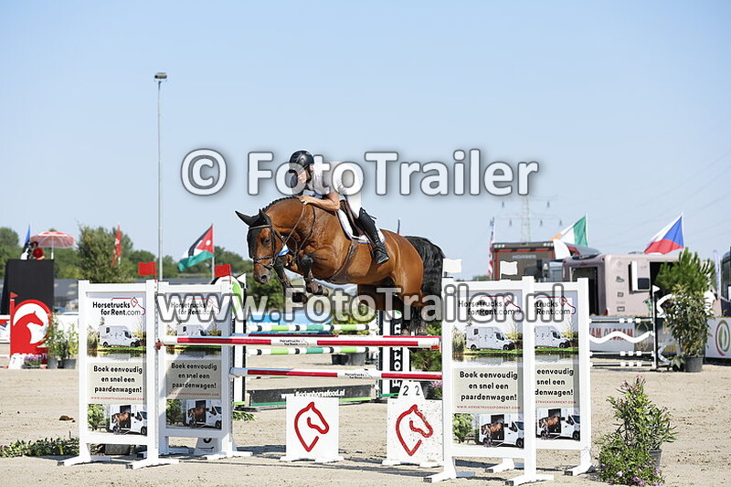 dennis van den brink