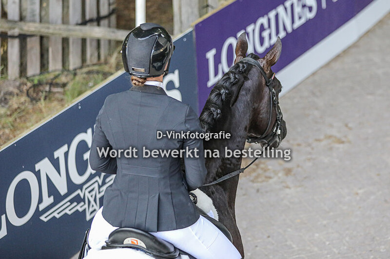 Robin Heiden - Next Romancier