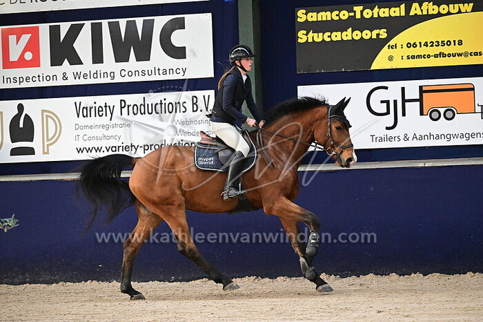 Bindi Rijnen - Orion