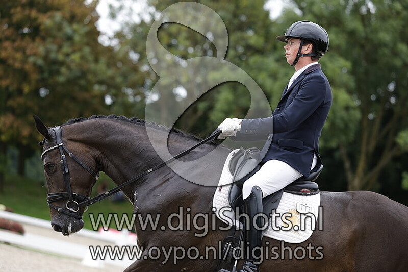 Ogyrieta texel van cayenne stables