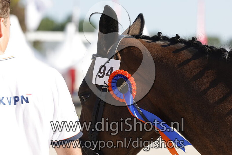 Tyson Zelma v. Blue Hors Monte Carlo