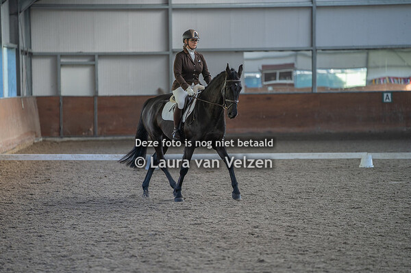 Dressuur Wennekers 12-11-2022
