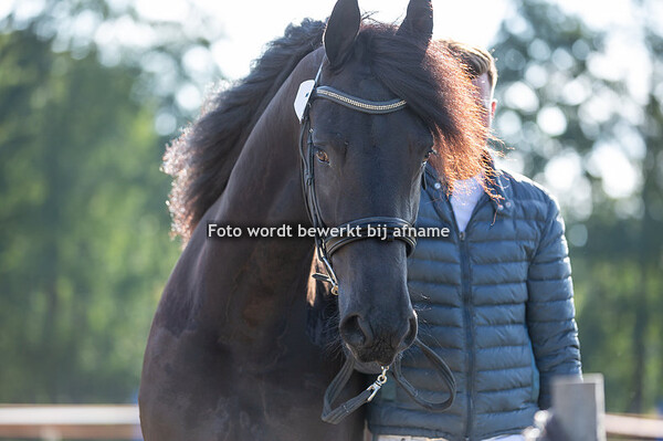 14. Wietske fra Grumstrup