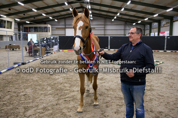 Vrijspringen Competitie Panningen, 3 jarigen,  28-04-23