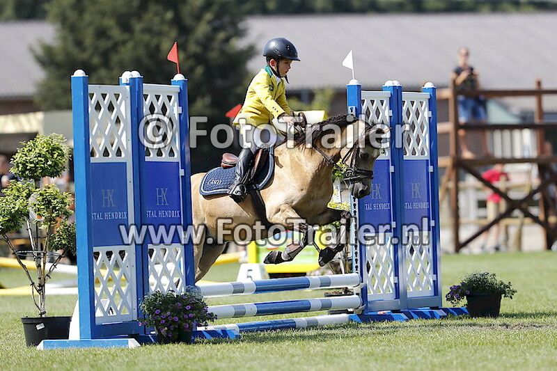 Pedro Mansur Guerios