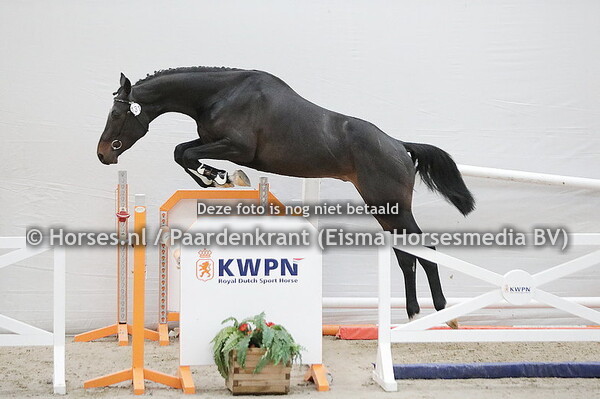 131 On my Ass (Jackass x Wantedgrafin v. Cantos)