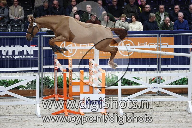 Winsome van 't Koningsbos v. Kassander van t Roosakker