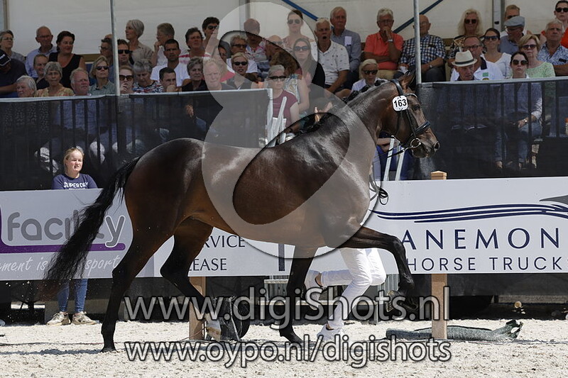 Phaedra v. Le Formidable