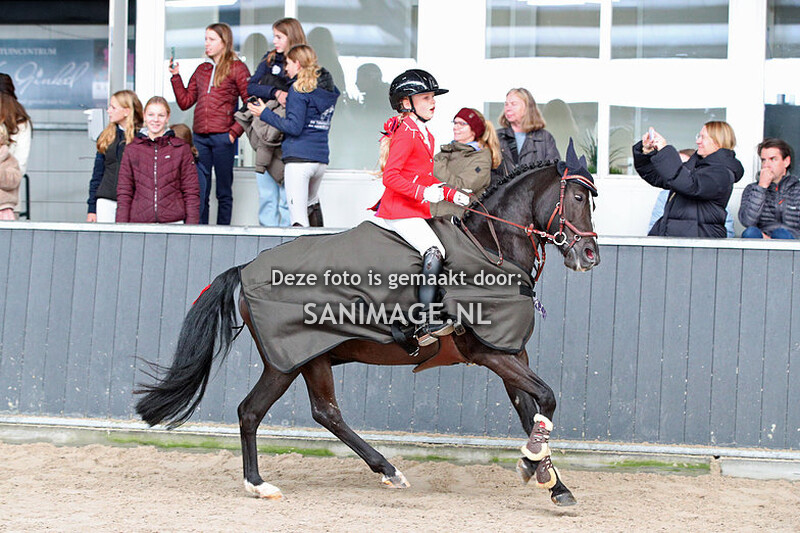 De Voornruiters De Meern Springen Pony's Rijstijl 11-11-2023 40 t/m 70 cm
