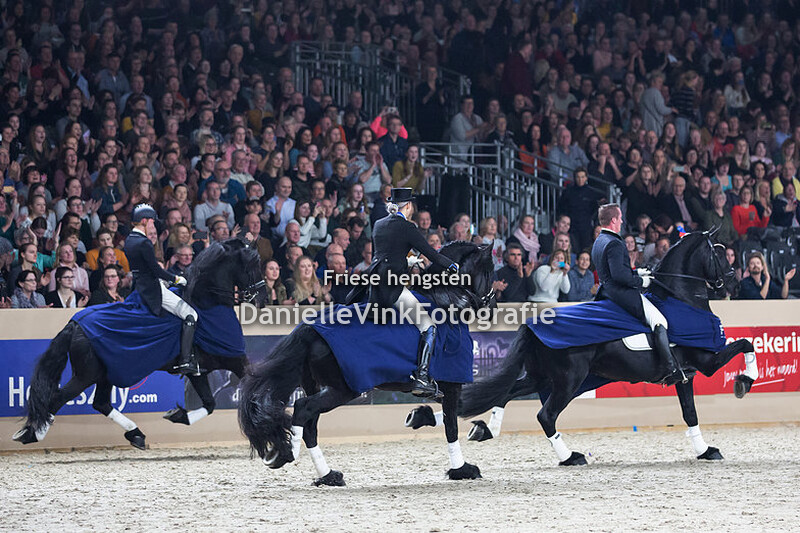 Hengstenkeuring 2020 OHZ Tsjalle 454 Jelmer Ketelaar