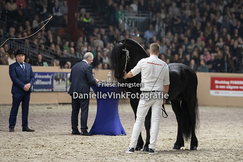 Hengstenkeuring 2023 Nane 492