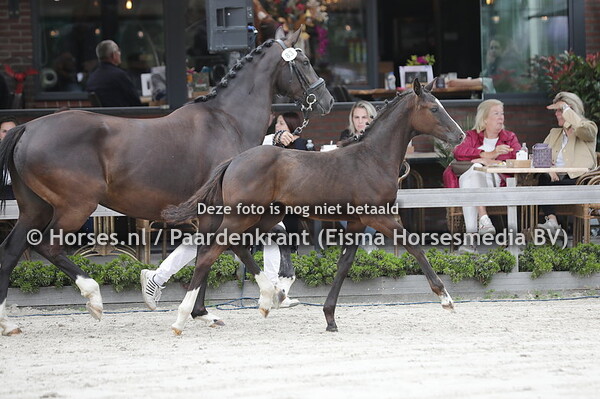 83 Sunrise (Just Wimphof x Magnifique v. Glock's Toto jr)