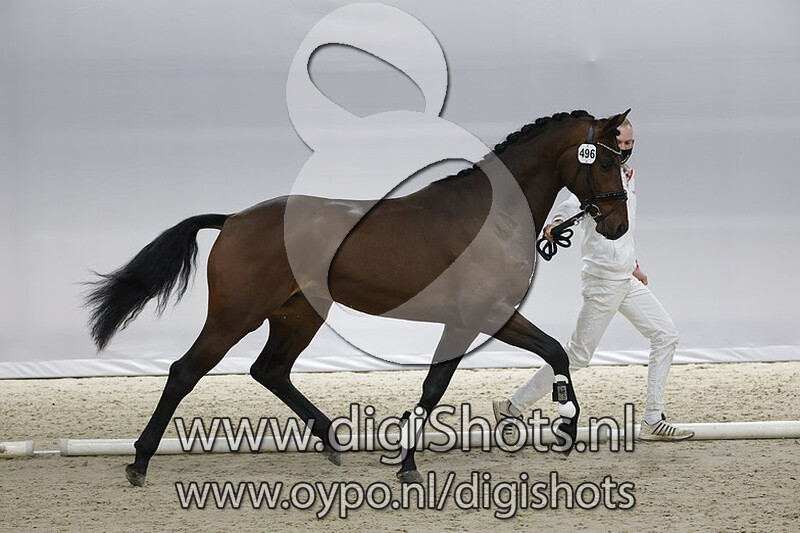 Olivier ASD v. Just Wimphof