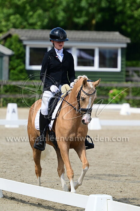 Sarah Ouwehand - Infinity Secret