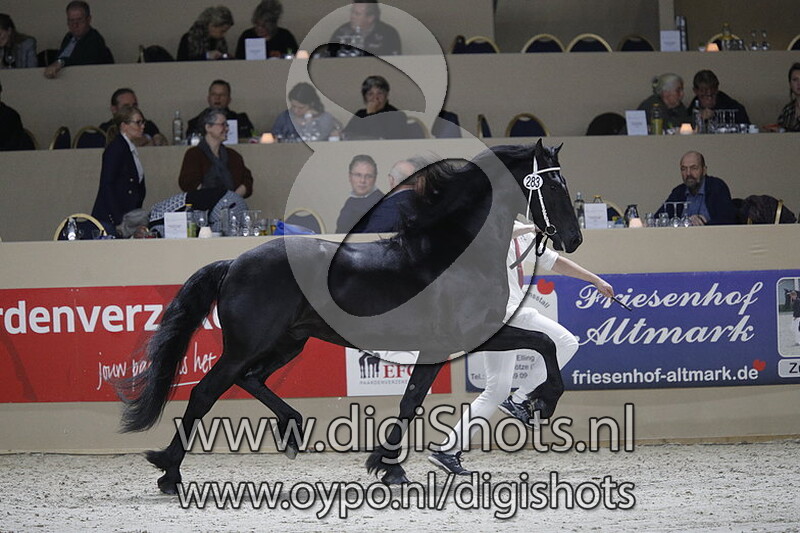 Dietmer fan e Ridderdijk