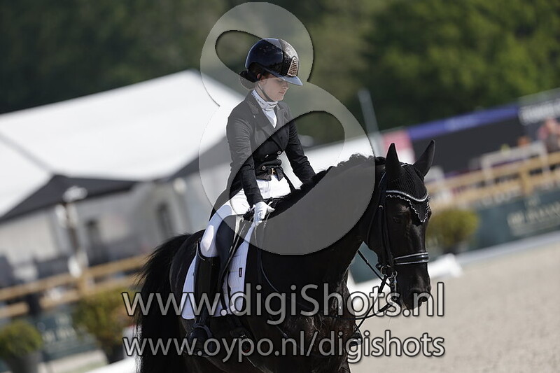 Darco von Nympenburg