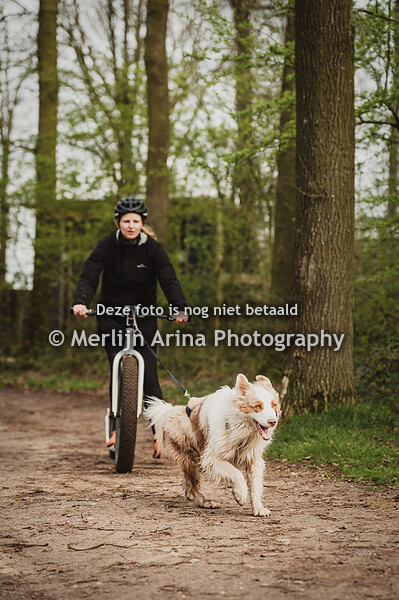 Canisport Events - Step & Bike