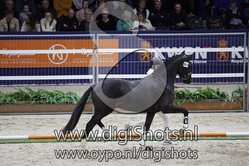 Romario V.d.t. v. Dante Weltino - 324