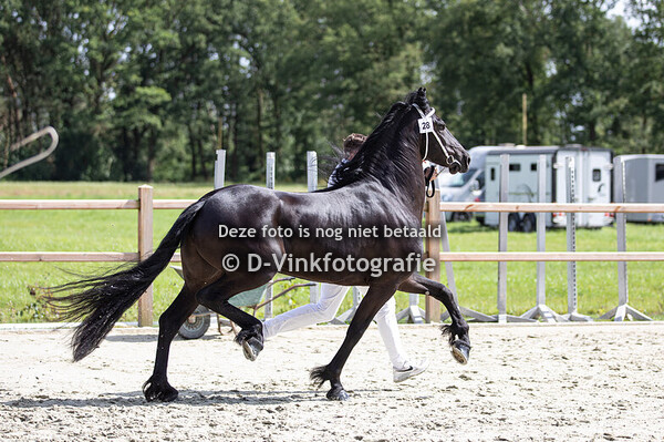 28. Silke van de Gonda