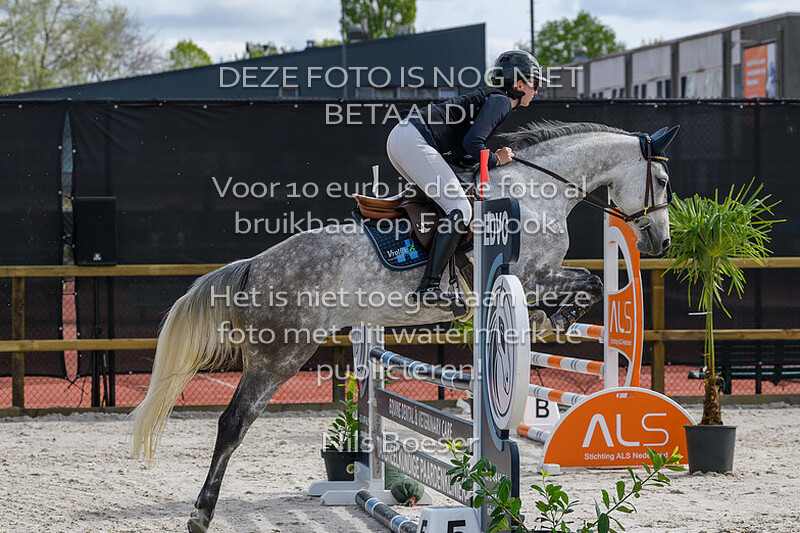 5 Paarden Klasse 80-90cm