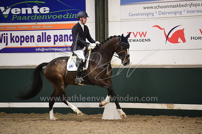 Brecht D'hoore - Nickname v.d. Wolfshoeve