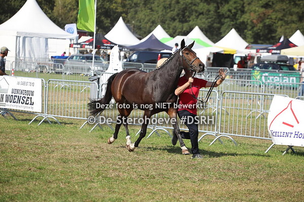 3.Merries grote maat 5j