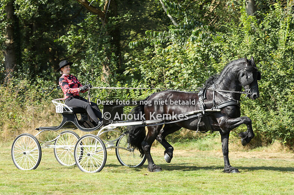 Friezen Youngriders finale