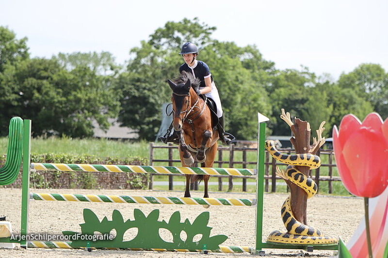 CH Dokkum 18-06-2022 Pony's 80-120cm