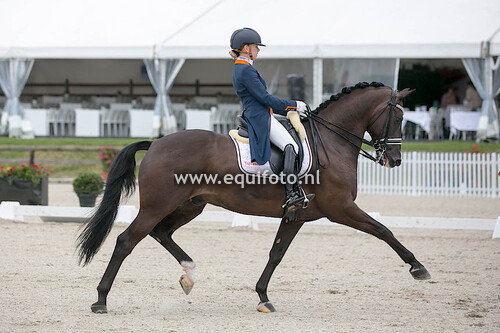 20160803_Meerdonk-BE_Flanders_Dressage_Event