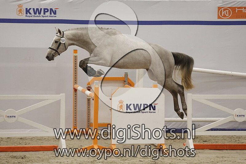 Rebel Blue N v. Zirocco Blue VDL - 157