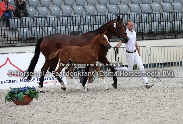 11 Oneway RF (Highway M TN x Alien v. Ovidius) (1)