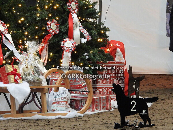 LKN Kerstclubshow 2025 Zeewolde