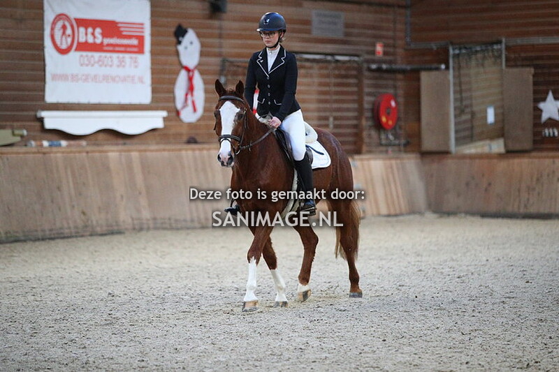 PV Midland Dressuur 17-12-2023 15.00--16.30 uur