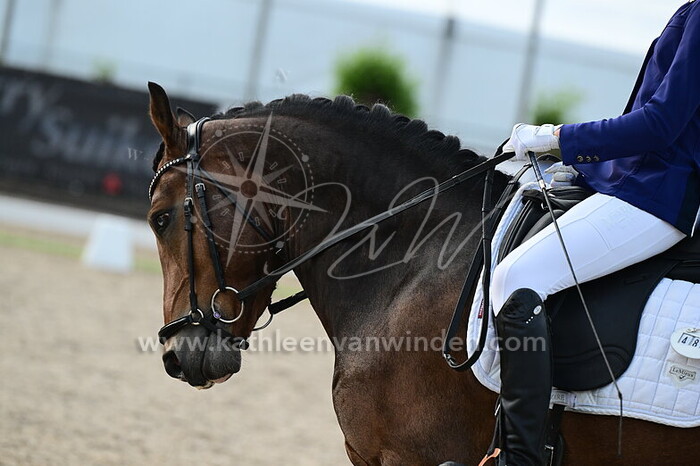 Saar Grootschoten - Viking