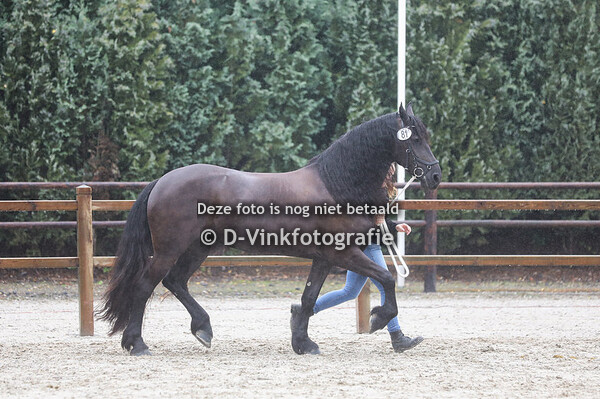 81. Isa-beauke huyske fan de fjild